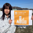 sdgs icons