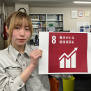 sdgs icons